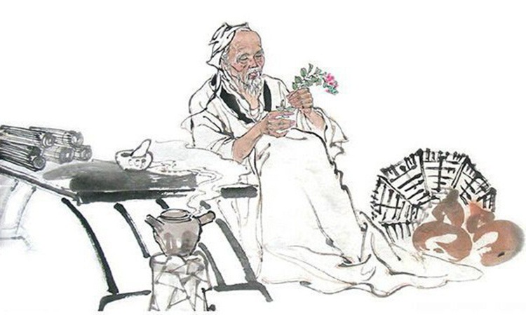 Du học ngành Đông y ở Trung Quốc là một sự lựa chọn chính xác