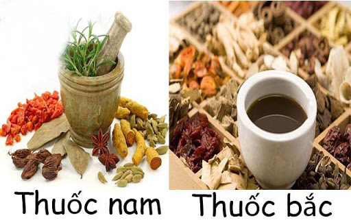 Có nên học đông y ngắn hạn cấp chứng chỉ hay không?