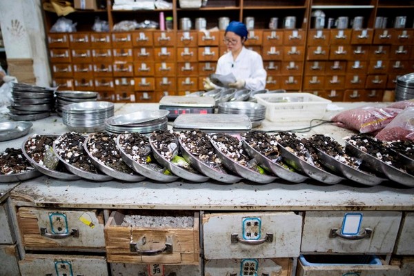 Học Đông y văn bằng 2 mất thời gian bao lâu?