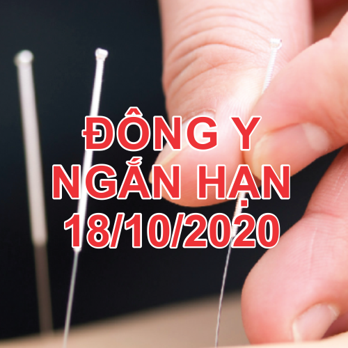 khai-giang-dong-y-ngan-han-moi-nhat