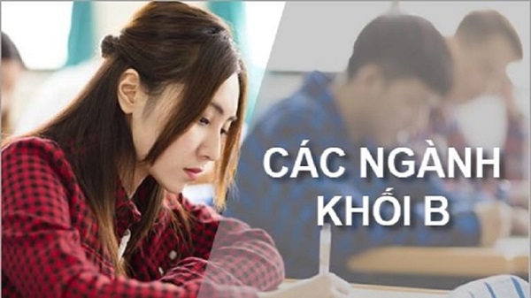 Khối B gồm những ngành nào? Các ngành đem lại mức lương cao