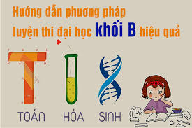 Khối B thi môn nào? Cách ôn thi khối B hiệu quả