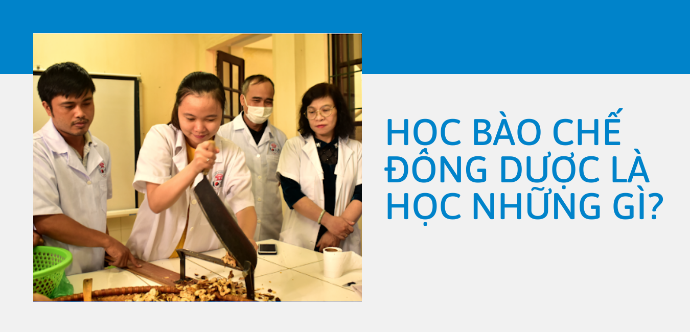 Học bào chế Đông dược là học những gì?