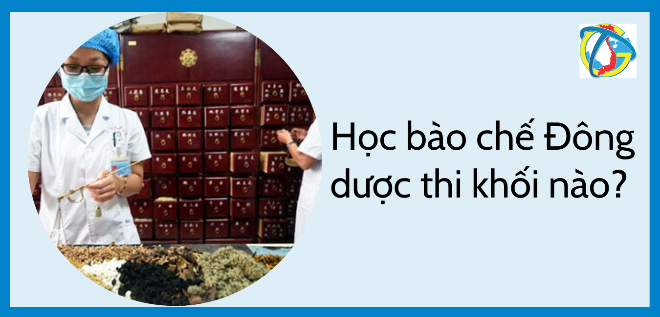 Học bào chế Đông dược thi khối nào?