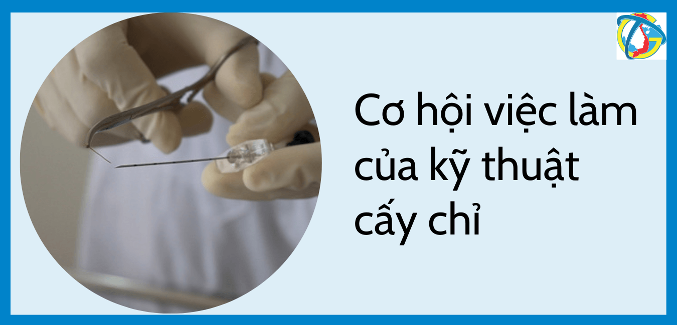 cơ hội việc làm của kỹ thuật cấy chỉ