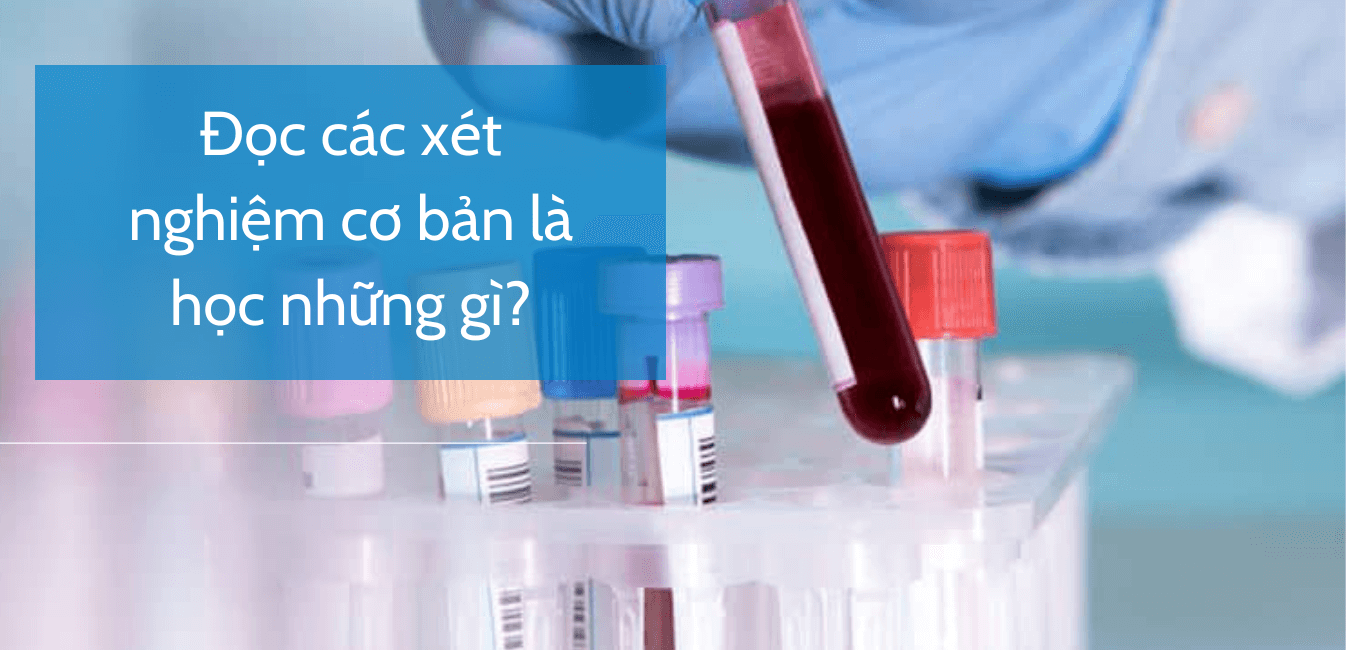 Đọc các xét nghiệm cơ bản là học những gì?
